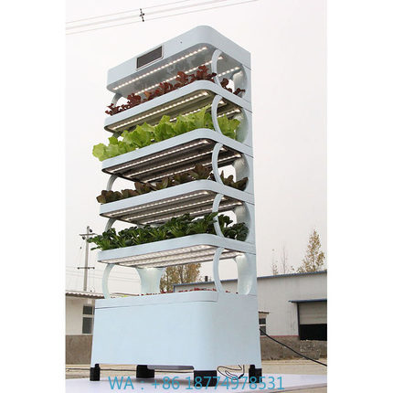 Smart Garden Home - Systèmes de culture hydroponique pour la