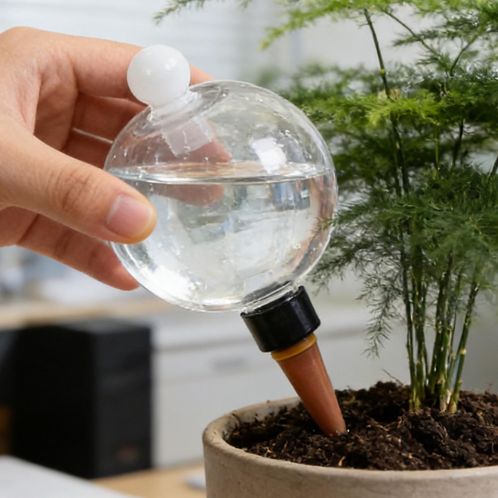 Plant Watering Globe - 4 Globes d'arrosage automatiques en plastique