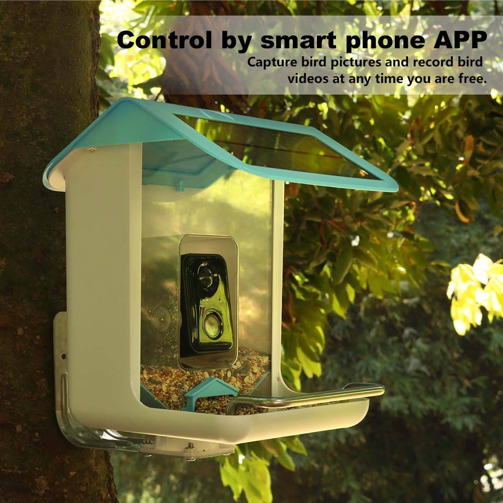 Caméra Wi-Fi extérieure pour l - Smart Bird Feeder Camera avis et prix