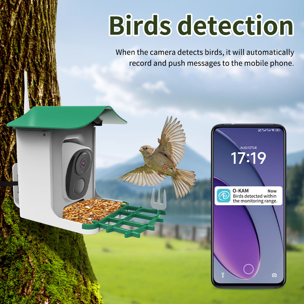 Caméra de mangeoire à oiseaux  - Smart Bird Feeder Camera avis et prix