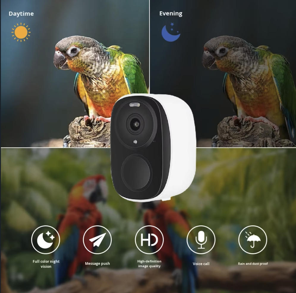 Caméra de mangeoire à oiseaux  - Smart Bird Feeder Camera avis et prix