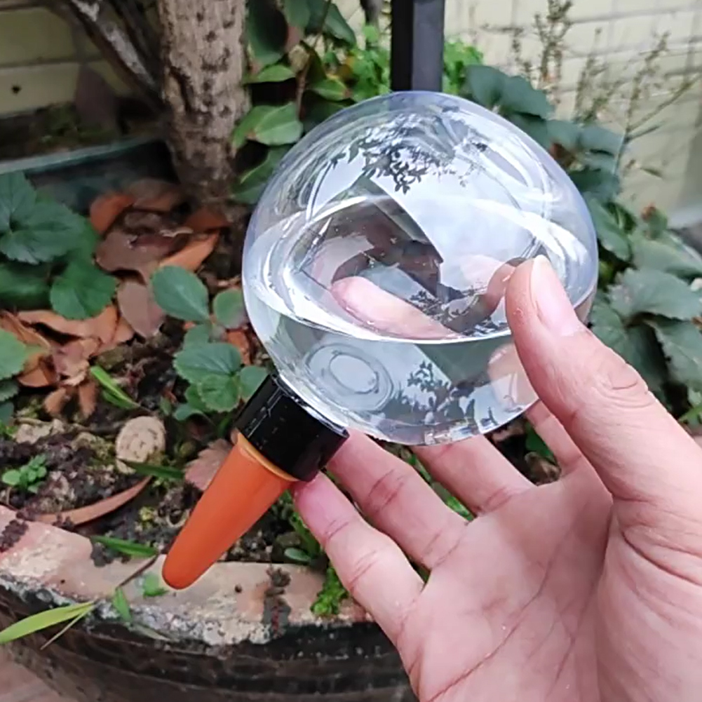 Globes d'arrosage automatiques - Plant Watering Globe avis et prix
