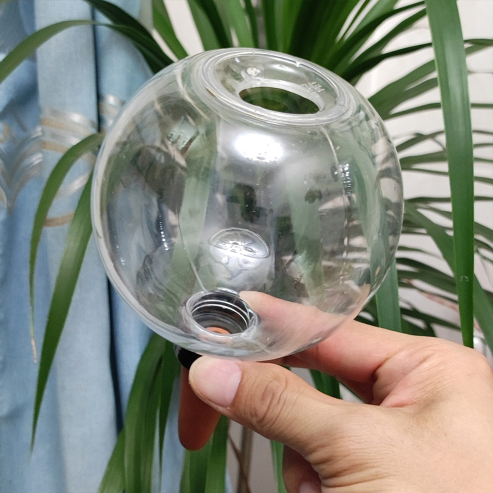 Globes d'arrosage automatiques - Plant Watering Globe avis et prix