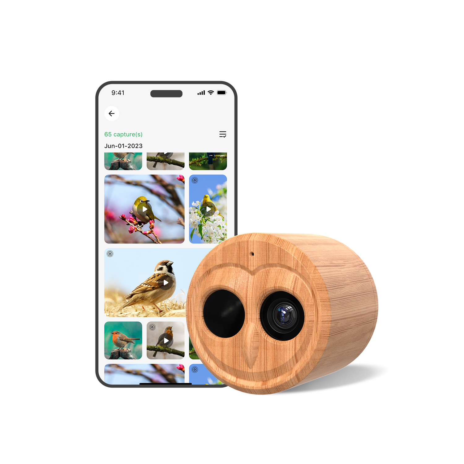 Mangeoire à oiseaux intelligen - Smart Bird Feeder Camera avis et prix