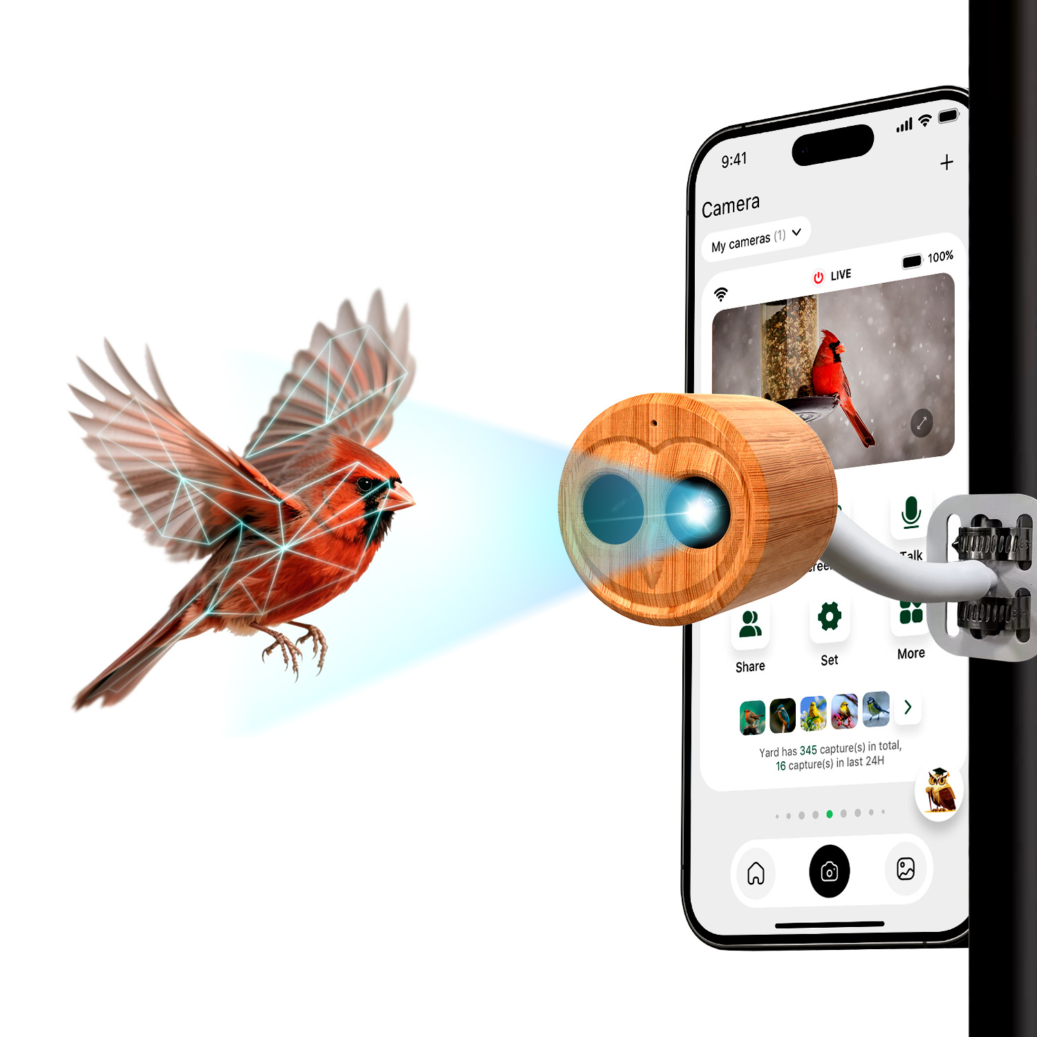 Mangeoire à oiseaux intelligen - Smart Bird Feeder Camera avis et prix