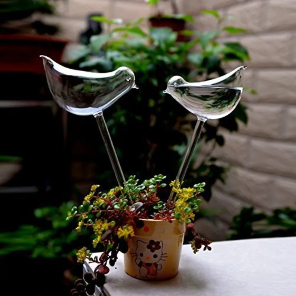 Système d'arrosage automatique - Plant Watering Globe avis et prix