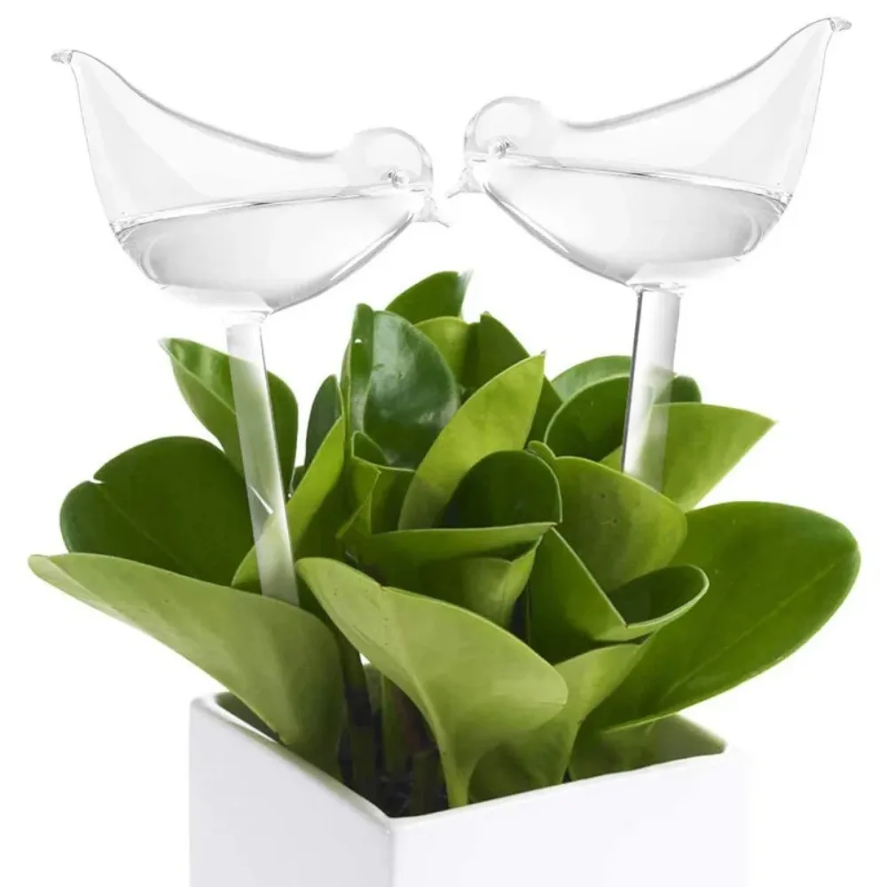 Dispositif d'arrosage automati - Plant Watering Globe avis et prix