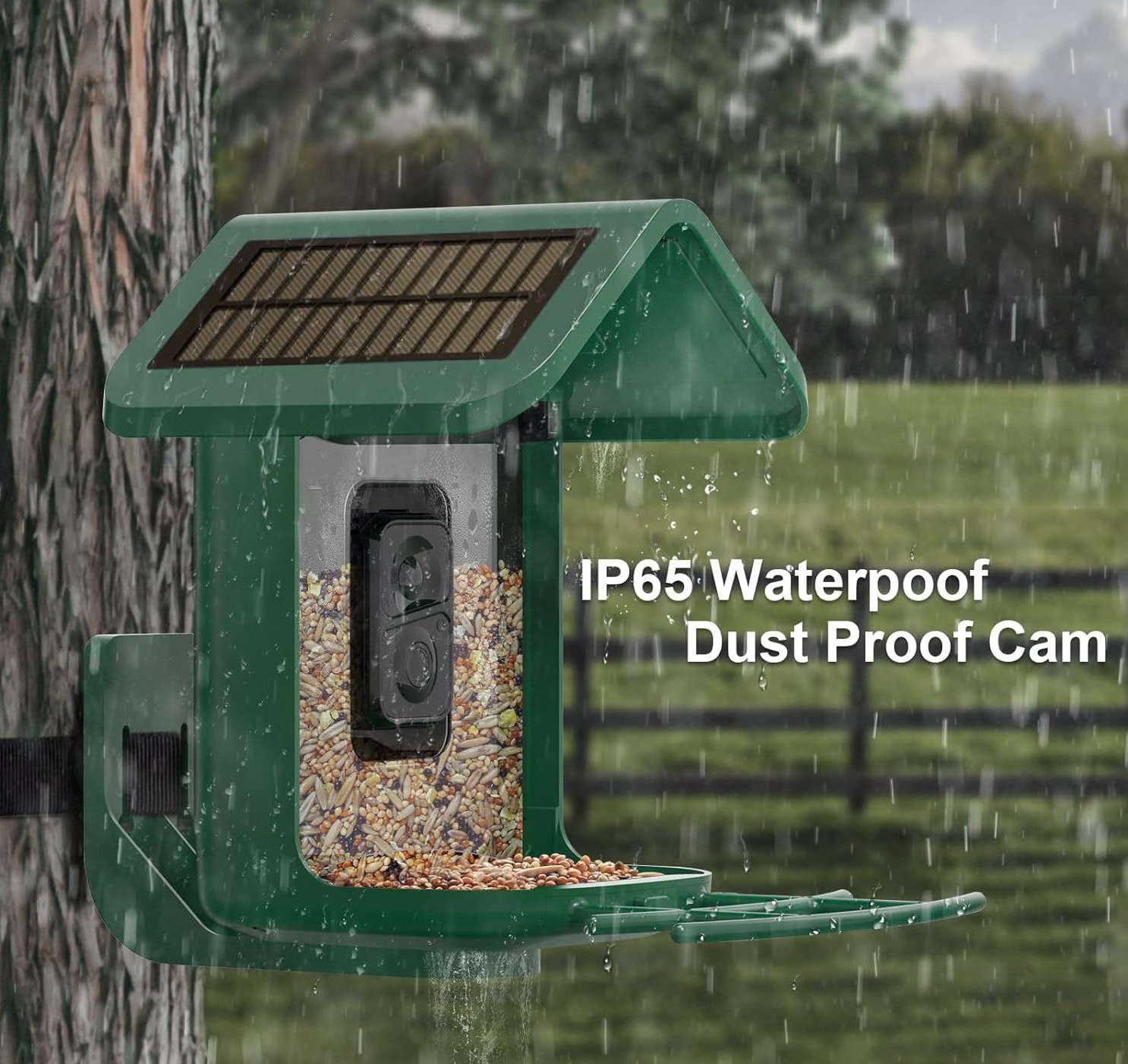 Mangeoire intelligente pour oi - Smart Bird Feeder Camera avis et prix