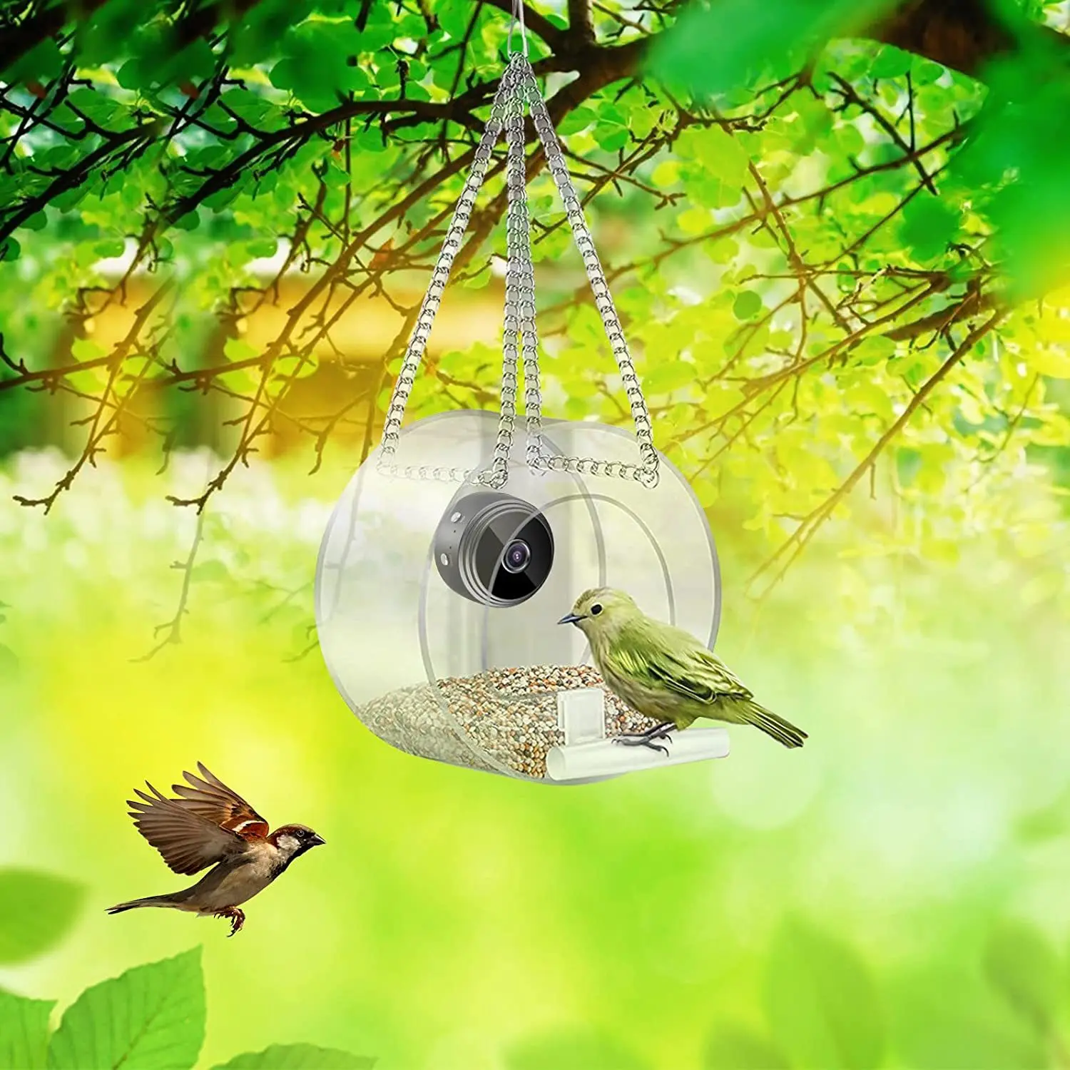 Mangeoire à oiseaux intelligen - Smart Bird Feeder Camera avis et prix