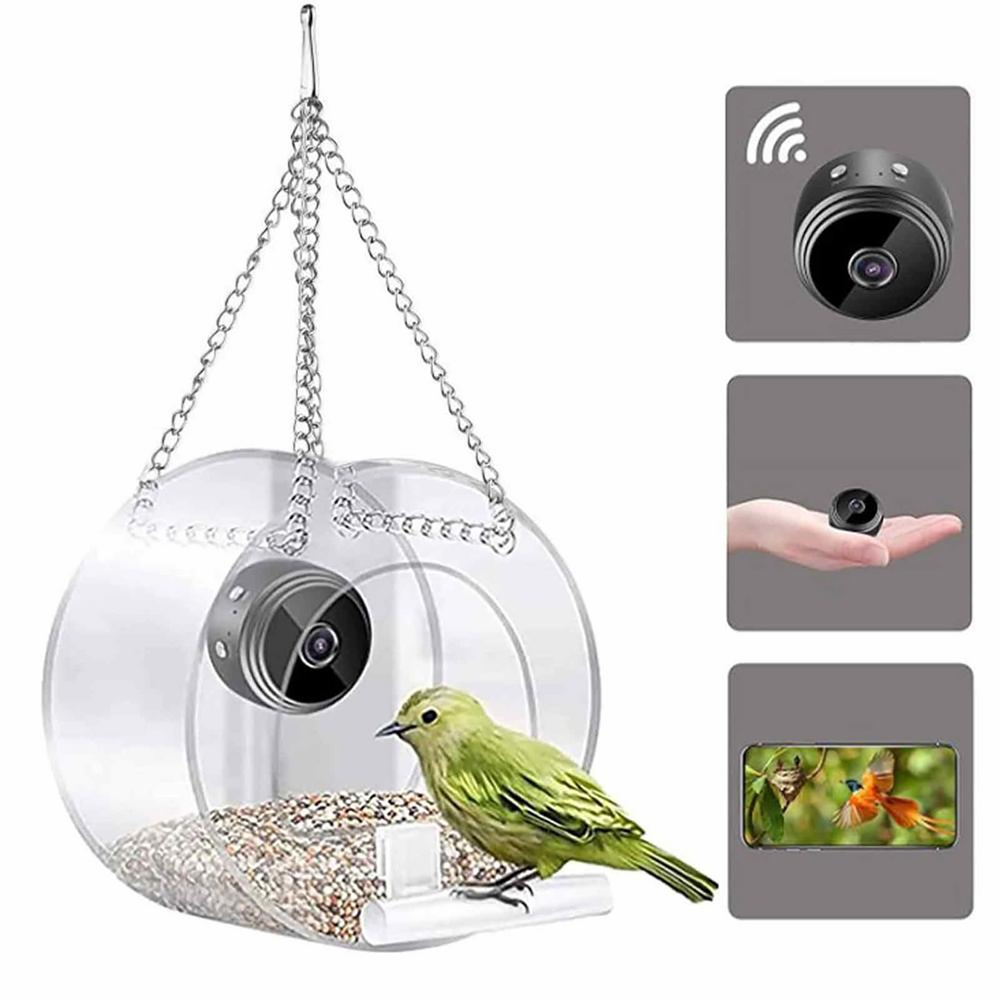 Mangeoire à oiseaux avec camér - Smart Bird Feeder Camera avis et prix