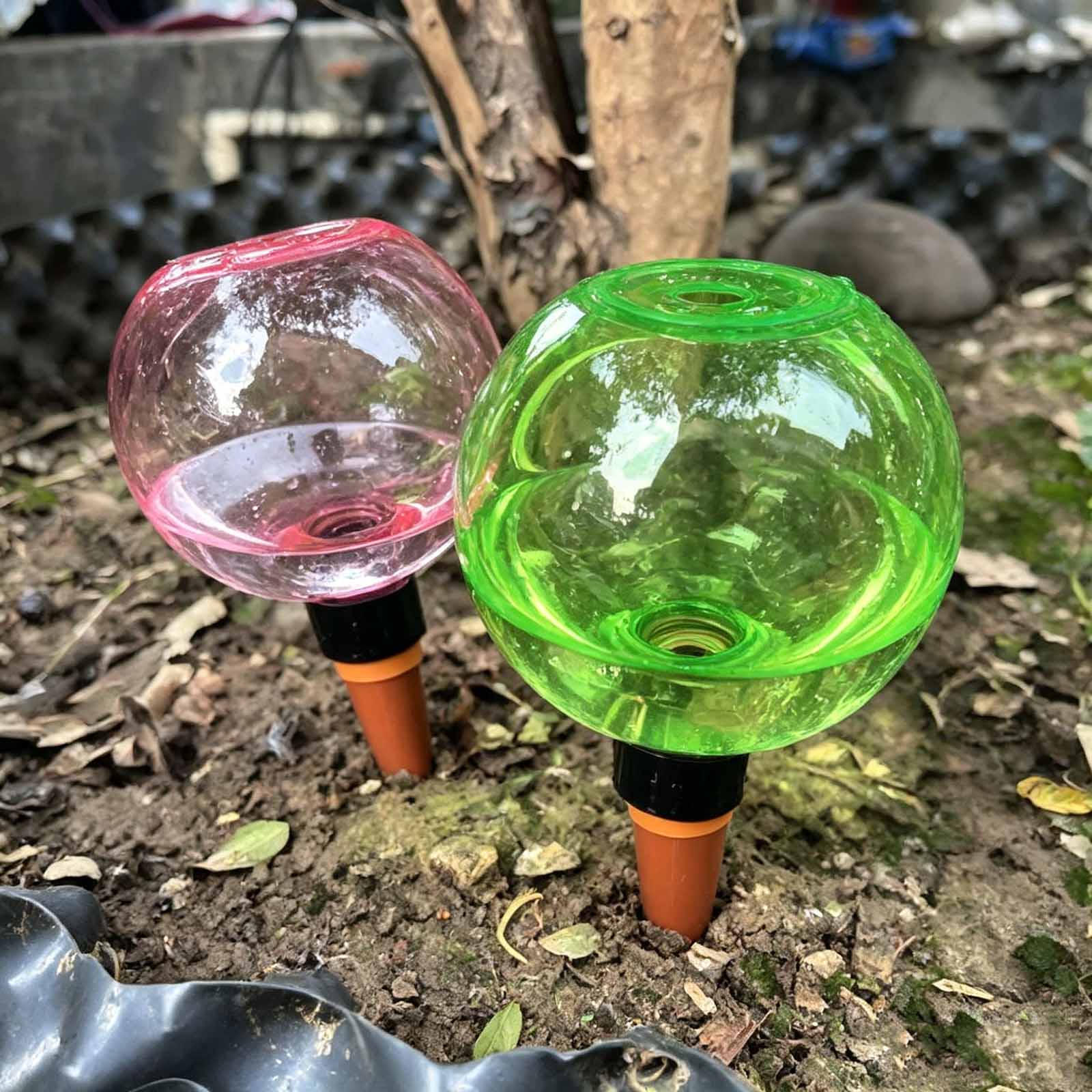 Boules d'arrosage automatiques - Plant Watering Globe avis et prix