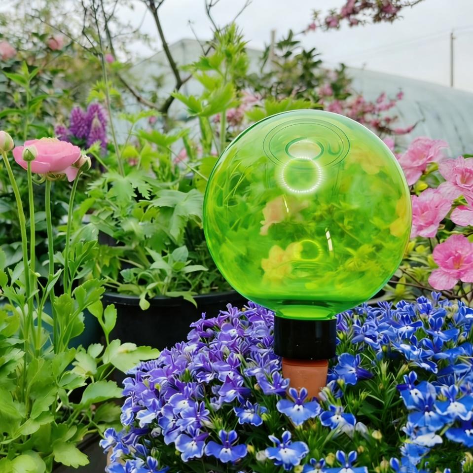 3 globes d'arrosage automatiqu - Plant Watering Globe avis et prix