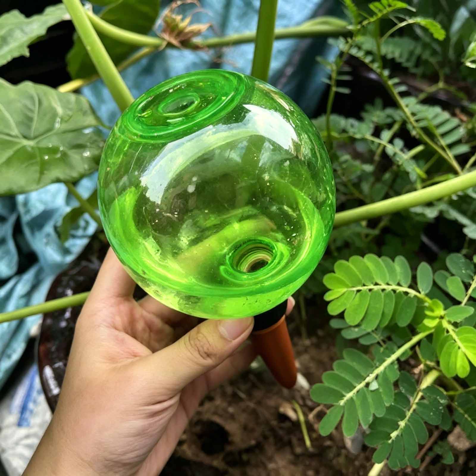 1/4 globes d'arrosage automati - Plant Watering Globe avis et prix