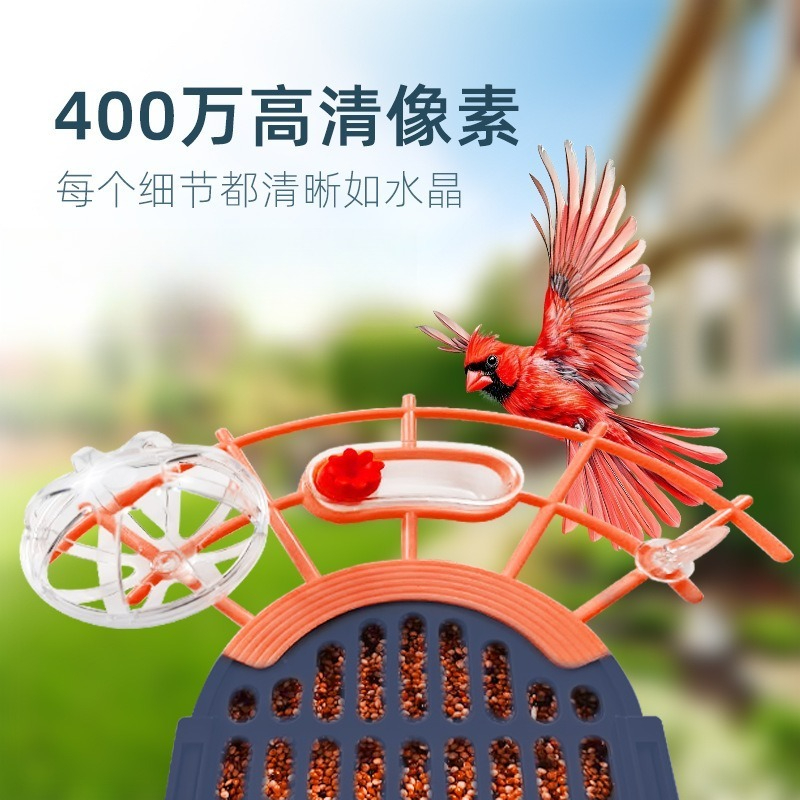 Mangeoire automatique solaire  - Smart Bird Feeder Camera avis et prix