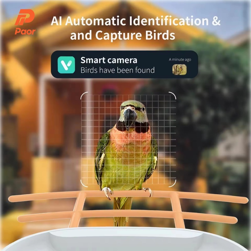 Nouvelles mangeoires à oiseaux - Smart Bird Feeder Camera avis et prix