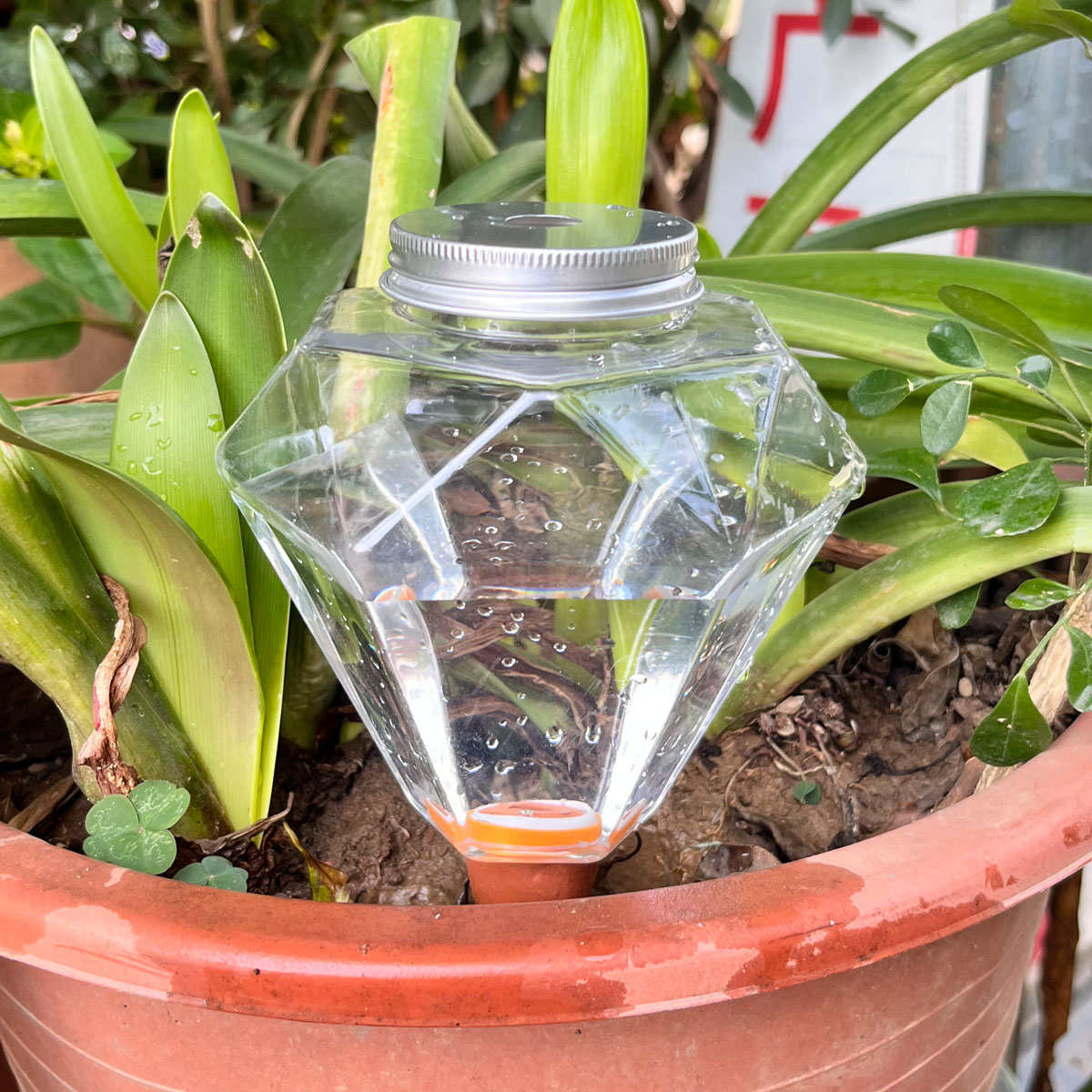 1 pièce Arroseur automatique e - Plant Watering Globe avis et prix