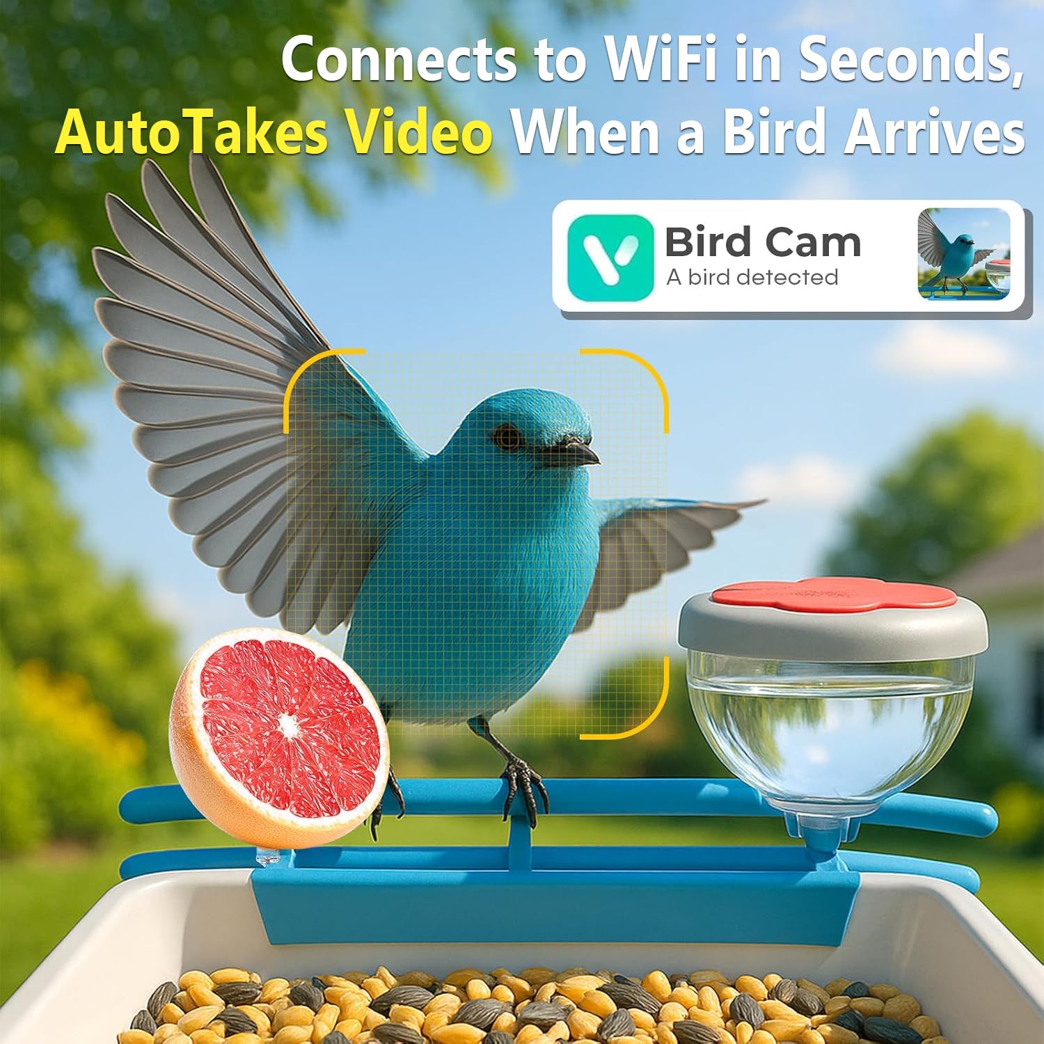 Caméra d'alimentation pour ois - Smart Bird Feeder Camera avis et prix