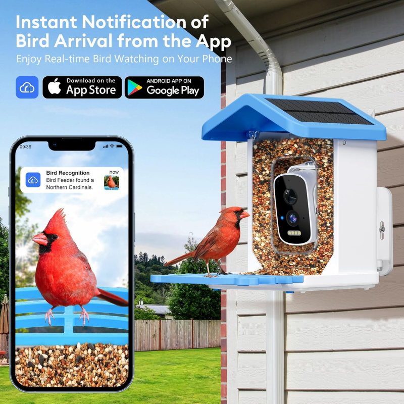 Mangeoire à oiseaux intelligen - Smart Bird Feeder Camera avis et prix