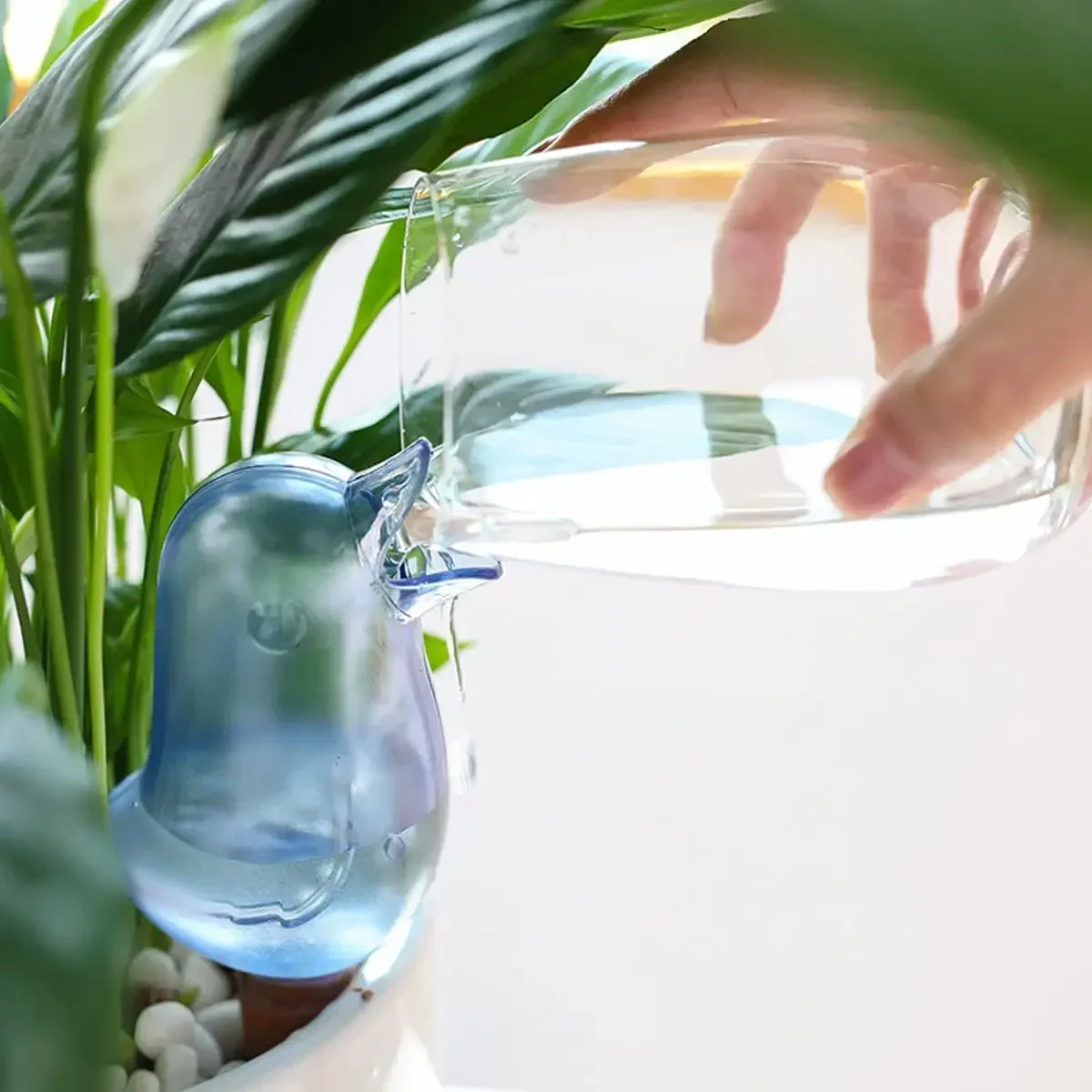 Arroseur de fleurs automatique - Plant Watering Globe avis et prix