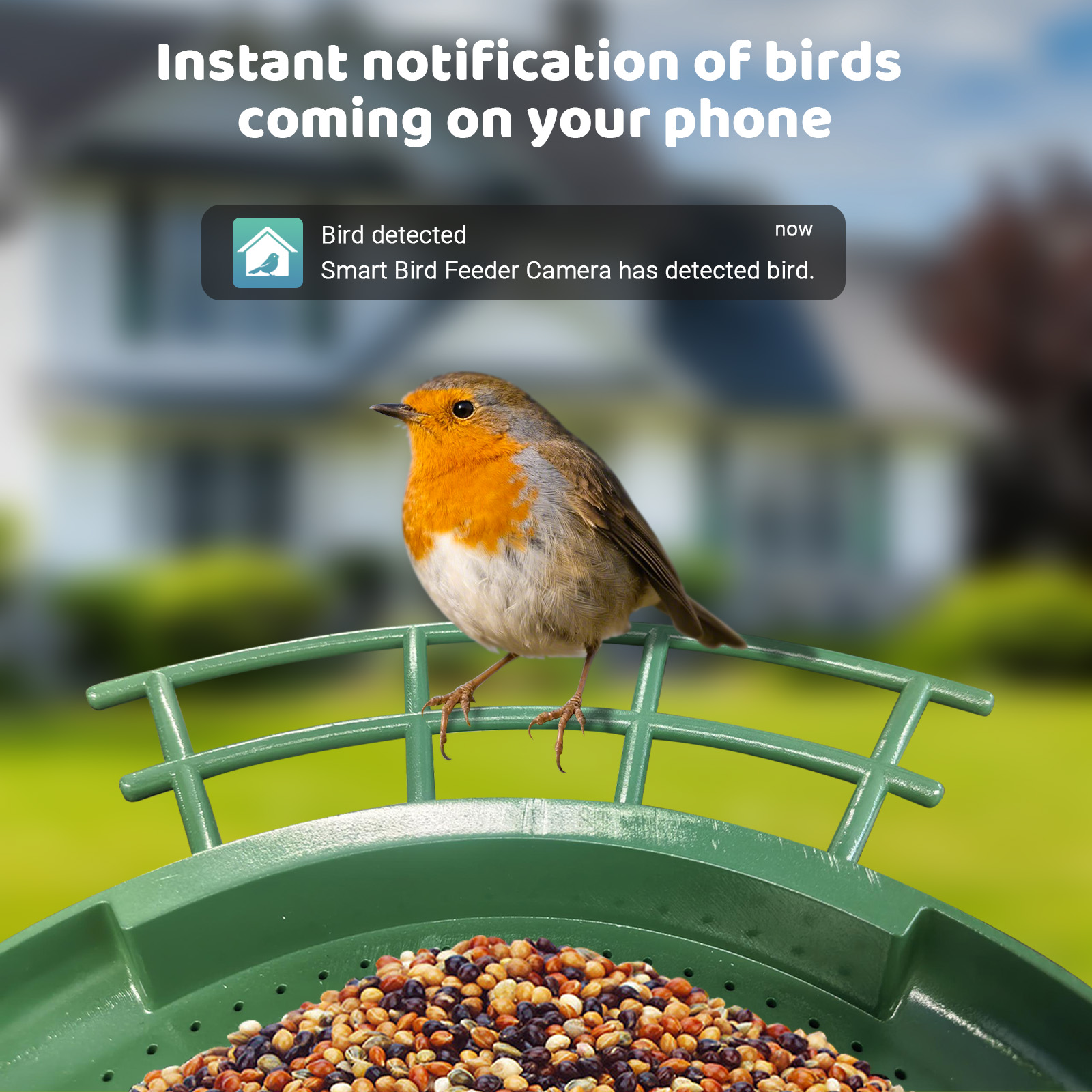 Mangeoire à oiseaux intelligen - Smart Bird Feeder Camera avis et prix