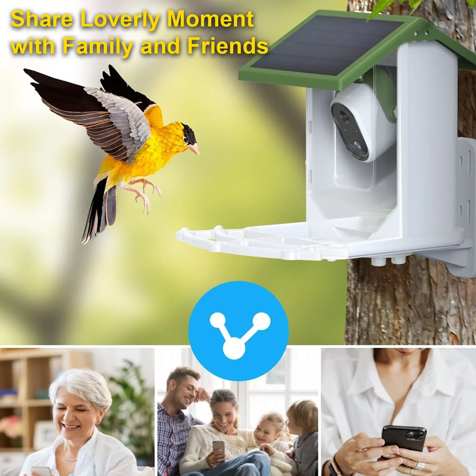 Mangeoire à oiseaux sauvages t - Smart Bird Feeder Camera avis et prix