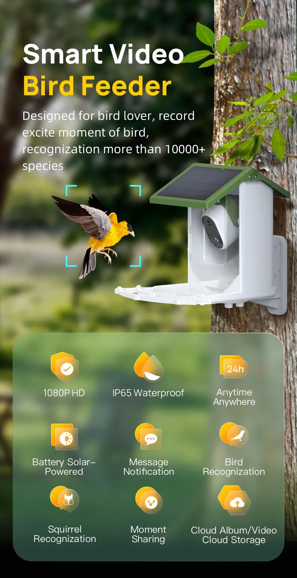 Mangeoire à oiseaux sauvages t - Smart Bird Feeder Camera avis et prix