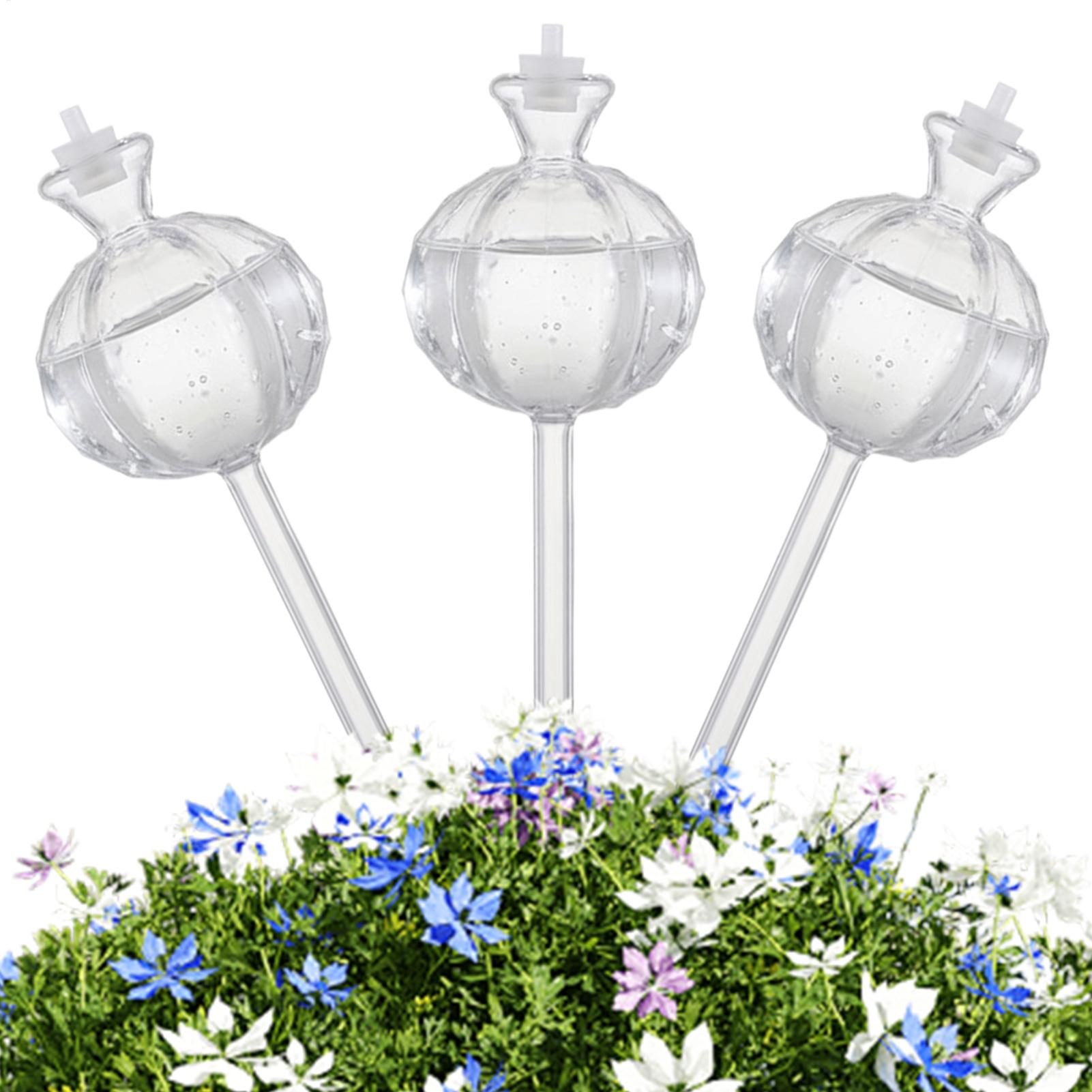 Globes d'arrosage pour plantes - Plant Watering Globe avis et prix